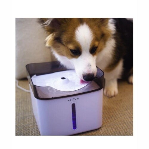 Aclıum Köpek Su Sebili 2,4 L - 2