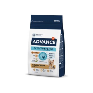 Advance Dog Yorkshıre Terrier Tavuklu Yetişkin Köpek Maması 1,5 kg - Advance
