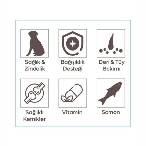 Animal World Somonlu Orta ve Büyük Yetişkin Irk Köpek Maması 15 kg - 2