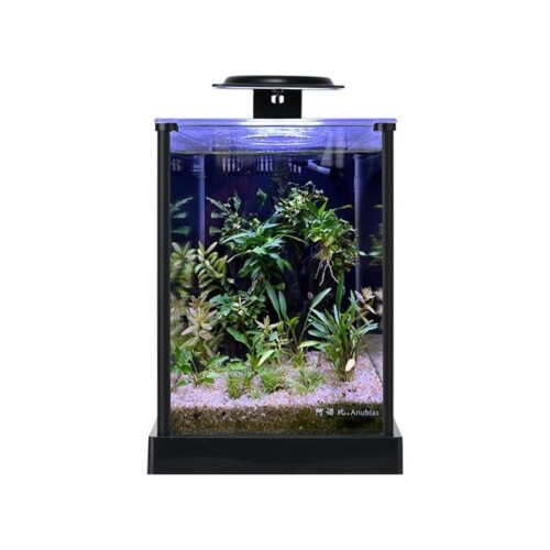 Anubias A168 Nano Akvaryum Set 18,7x23,7x25,8 cm - 1