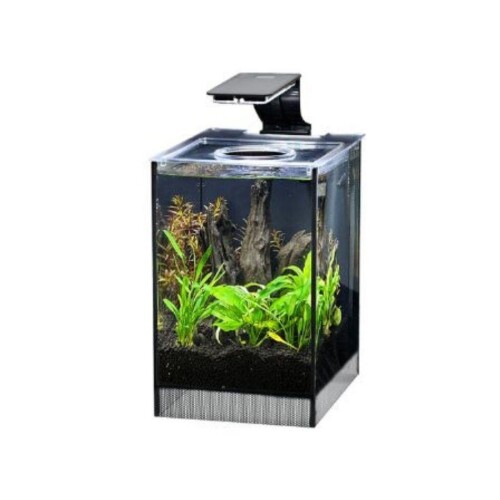 Anubias Danio 25 Nano Akvaryum Siyah 9 Lt 17x22x26,5 Cm - 1