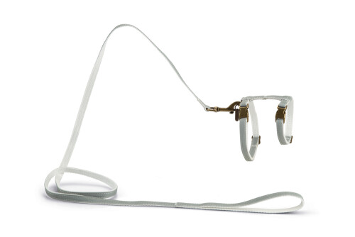 Beeztees DBL Kedi Göğüs Tasması ve Gezdirme Kayışı, 130cm, Mint, 27-45cm - 1