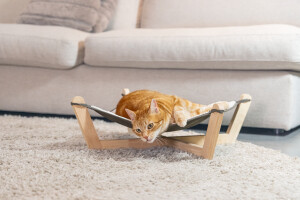 Beeztees DBL Kedi Hamağı, Gri, 51x51x18,5cm - 2