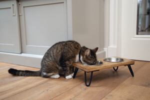 Beeztees DBL Kedi İkili Mama ve Su Kabı, Paslanmaz Çelik, Beyaz, 31x16x10cm, 2x350ml - 10