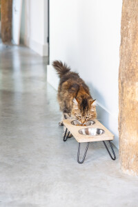 Beeztees DBL Kedi İkili Mama ve Su Kabı, Paslanmaz Çelik, Beyaz, 31x16x10cm, 2x350ml - 11