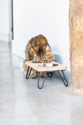 Beeztees DBL Kedi İkili Mama ve Su Kabı, Paslanmaz Çelik, Beyaz, 31x16x10cm, 2x350ml - 12