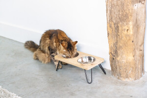 Beeztees DBL Kedi İkili Mama ve Su Kabı, Paslanmaz Çelik, Beyaz, 31x16x10cm, 2x350ml - 2