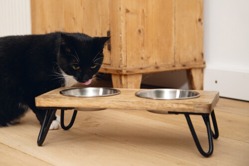 Beeztees DBL Kedi İkili Mama ve Su Kabı, Paslanmaz Çelik, Beyaz, 31x16x10cm, 2x350ml - 9