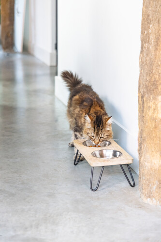 Beeztees DBL Kedi İkili Mama ve Su Kabı, Paslanmaz Çelik, Beyaz, 31x16x10cm, 2x350ml - 11