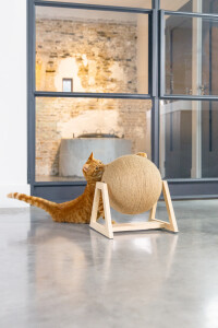 Beeztees DBL Kedi Tırmalama, 34x30x35,5cm - 3