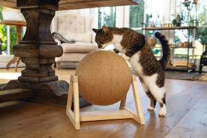 Beeztees DBL Kedi Tırmalama, 34x30x35,5cm - 4