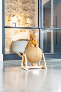 Beeztees DBL Kedi Tırmalama, 34x30x35,5cm - 7