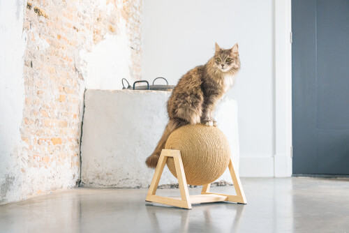 Beeztees DBL Kedi Tırmalama, 34x30x35,5cm - 8