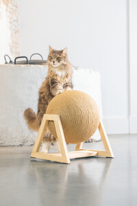 Beeztees DBL Kedi Tırmalama, 34x30x35,5cm - 9