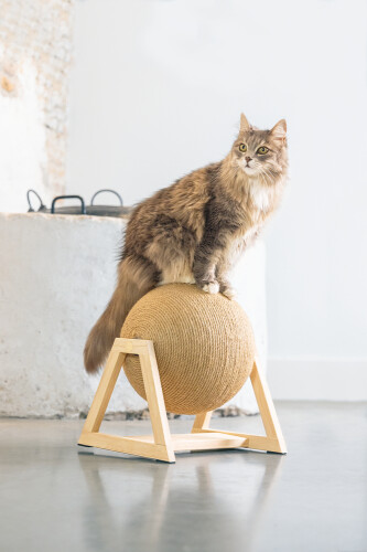 Beeztees DBL Kedi Tırmalama, 34x30x35,5cm - 6