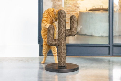 Beeztees DBL Kedi Tırmalama, Boz Siyah, 35x35x60cm - 7