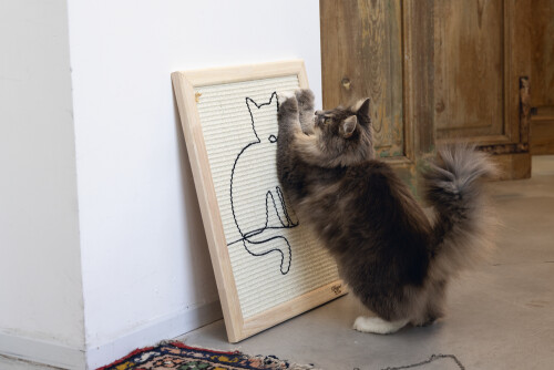 Beeztees DBL Kedi Tırmalama Tahtası, 50x40x2cm - 6