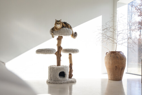 Beeztees DBL Kedi Tırmalama ve Oyun Evi, Doğal, 60x45x100cm - 5