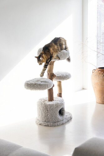 Beeztees DBL Kedi Tırmalama ve Oyun Evi, Doğal, 60x45x100cm - 6