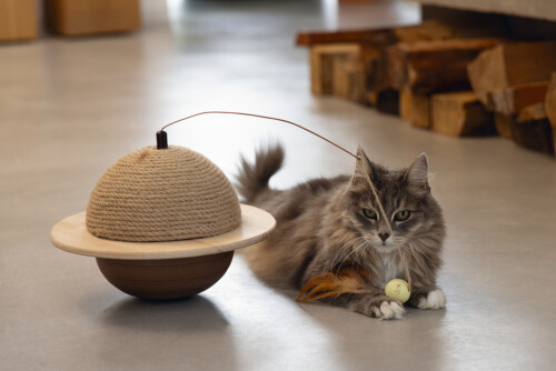 Beeztees DBL Kedi Tırmalama ve Oyuncağı, 29,5x29,5x20cm - 5