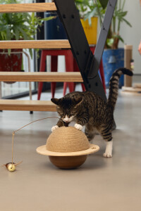 Beeztees DBL Kedi Tırmalama ve Oyuncağı, 29,5x29,5x20cm - 4