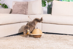 Beeztees DBL Kedi Tırmalama ve Oyuncağı, 29,5x29,5x20cm - 6