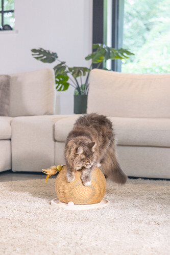 Beeztees DBL Kedi Tırmalama ve Oyuncağı, 29,5x29,5x22cm - 9