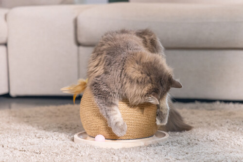 Beeztees DBL Kedi Tırmalama ve Oyuncağı, 29,5x29,5x22cm - 6