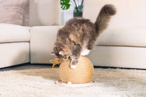 Beeztees DBL Kedi Tırmalama ve Oyuncağı, 29,5x29,5x22cm - 10