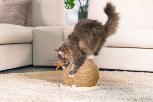 Beeztees DBL Kedi Tırmalama ve Oyuncağı, 29,5x29,5x22cm - 8