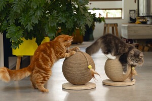 Beeztees DBL Kedi Tırmalama ve Oyuncağı, 30x30x27cm - 2