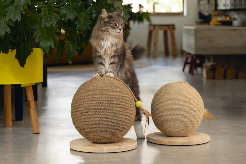 Beeztees DBL Kedi Tırmalama ve Oyuncağı, 30x30x27cm - 5