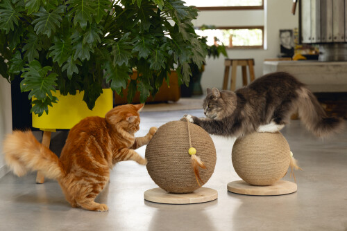 Beeztees DBL Kedi Tırmalama ve Oyuncağı, 30x30x27cm - 6