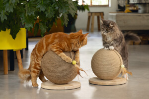 Beeztees DBL Kedi Tırmalama ve Oyuncağı, 30x30x27cm - 9