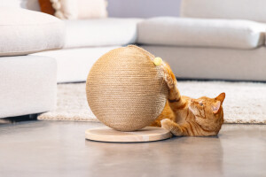 Beeztees DBL Kedi Tırmalama ve Oyuncağı, 30x30x27cm - 7