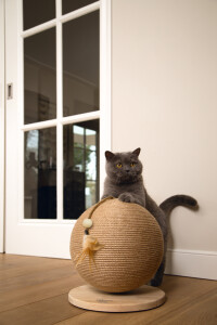 Beeztees DBL Kedi Tırmalama ve Oyuncağı, 30x30x27cm - 11