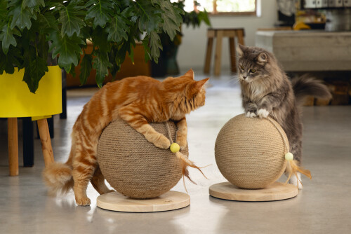 Beeztees DBL Kedi Tırmalama ve Oyuncağı, 30x30x27cm - 9