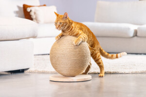 Beeztees DBL Kedi Tırmalama ve Oyuncağı, 30x30x27cm - 10