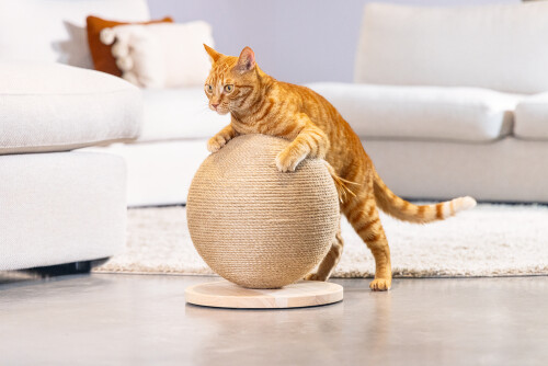 Beeztees DBL Kedi Tırmalama ve Oyuncağı, 30x30x27cm - 10