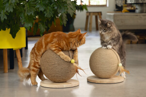 Beeztees DBL Kedi Tırmalama ve Oyuncağı, 30x31x31,5cm - 9