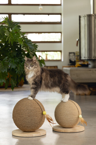 Beeztees DBL Kedi Tırmalama ve Oyuncağı, 30x31x31,5cm - 4