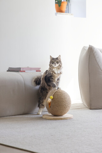 Beeztees DBL Kedi Tırmalama ve Oyuncağı, 30x31x31,5cm - 6