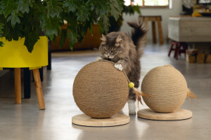 Beeztees DBL Kedi Tırmalama ve Oyuncağı, 30x31x31,5cm - 7
