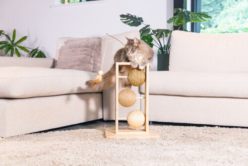 Beeztees DBL Kedi Tırmalama ve Oyuncağı, 34,5x29,5x50cm - 6