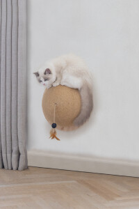 Beeztees DBL Kedi Tırmalama ve Oyuncağı, 34,5x34,5x18cm - 4