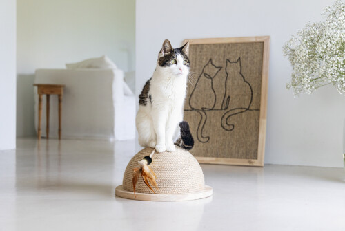 Beeztees DBL Kedi Tırmalama ve Oyuncağı, 34,5x34,5x18cm - 8