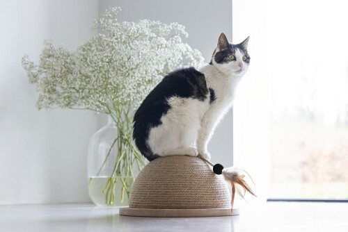 Beeztees DBL Kedi Tırmalama ve Oyuncağı, 34,5x34,5x18cm - 10