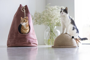 Beeztees DBL Kedi Tırmalama ve Oyuncağı, 34,5x34,5x18cm - 11