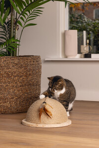 Beeztees DBL Kedi Tırmalama ve Oyuncağı, 34,5x34,5x18cm - 2