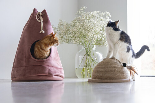 Beeztees DBL Kedi Tırmalama ve Oyuncağı, 34,5x34,5x18cm - 9